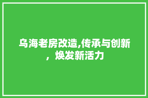乌海老房改造,传承与创新，焕发新活力