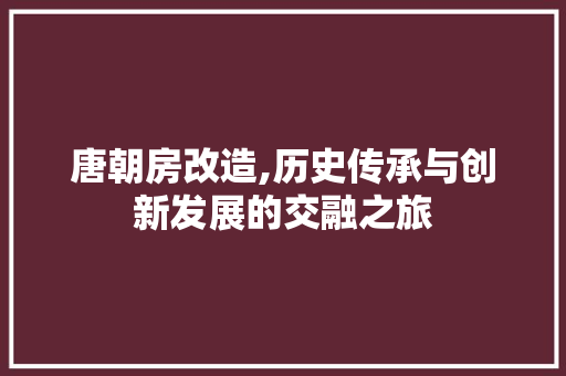 唐朝房改造,历史传承与创新发展的交融之旅 景观设计