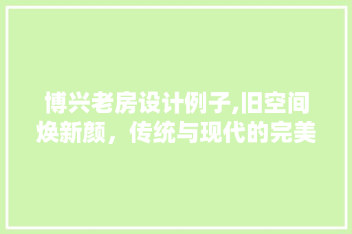 博兴老房设计例子,旧空间焕新颜，传统与现代的完美融合