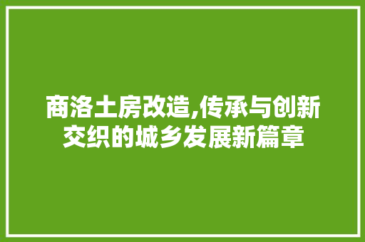 商洛土房改造,传承与创新交织的城乡发展新篇章 隔断设计