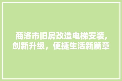 商洛市旧房改造电梯安装,创新升级，便捷生活新篇章 地面装修