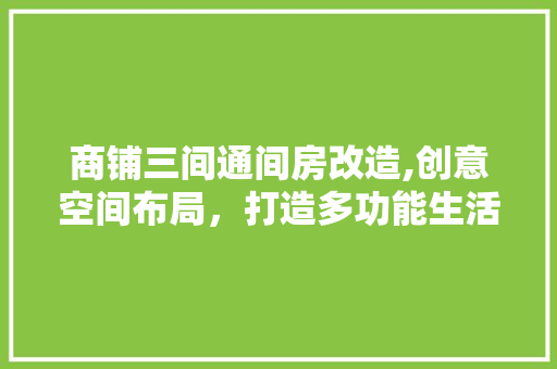 商铺三间通间房改造,创意空间布局，打造多功能生活空间