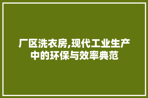 厂区洗衣房,现代工业生产中的环保与效率典范 门窗装修