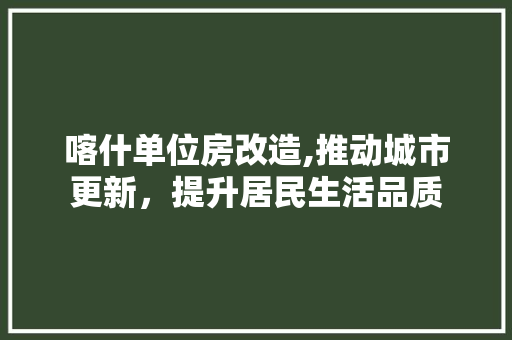 喀什单位房改造,推动城市更新，提升居民生活品质 装修攻略