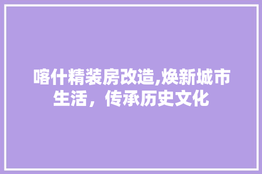 喀什精装房改造,焕新城市生活，传承历史文化