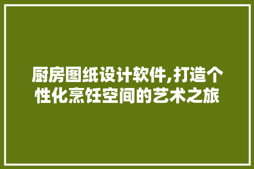厨房图纸设计软件,打造个性化烹饪空间的艺术之旅