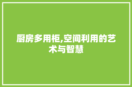 厨房多用柜,空间利用的艺术与智慧 装修攻略