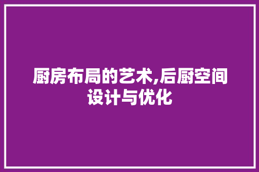 厨房布局的艺术,后厨空间设计与优化
