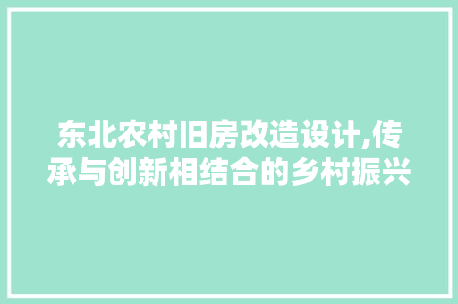 东北农村旧房改造设计,传承与创新相结合的乡村振兴之路 隔断设计