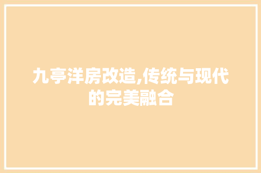 九亭洋房改造,传统与现代的完美融合 建筑设计