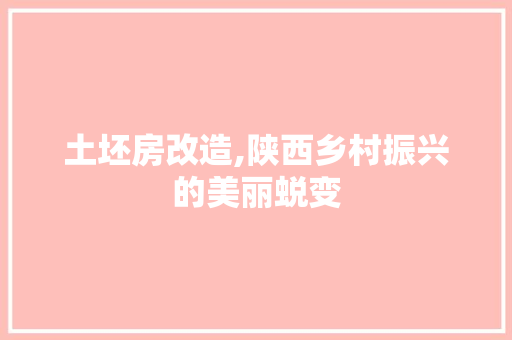 土坯房改造,陕西乡村振兴的美丽蜕变