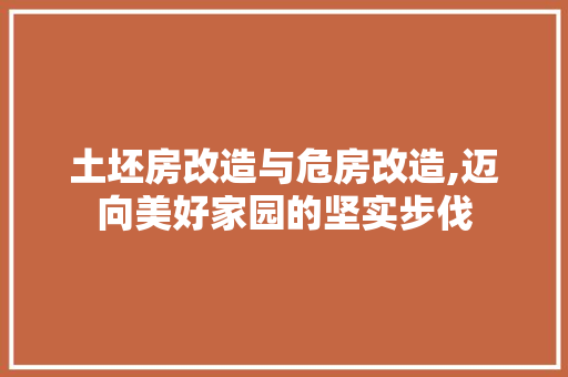 土坯房改造与危房改造,迈向美好家园的坚实步伐