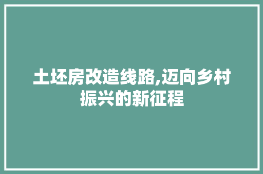 土坯房改造线路,迈向乡村振兴的新征程