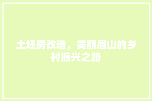 土坯房改造,美丽眉山的乡村振兴之路 墙面装饰 土坯房改造,美丽眉山的乡村振兴之路 墙面装饰