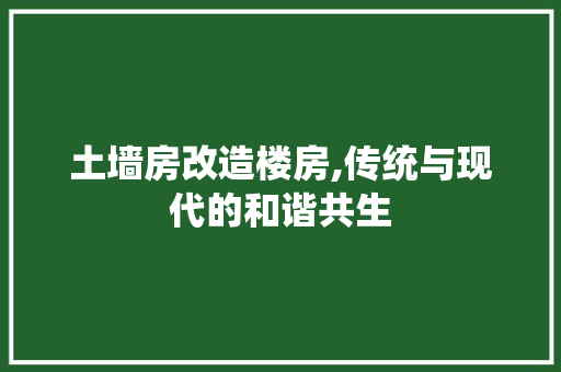 土墙房改造楼房,传统与现代的和谐共生 墙面装饰