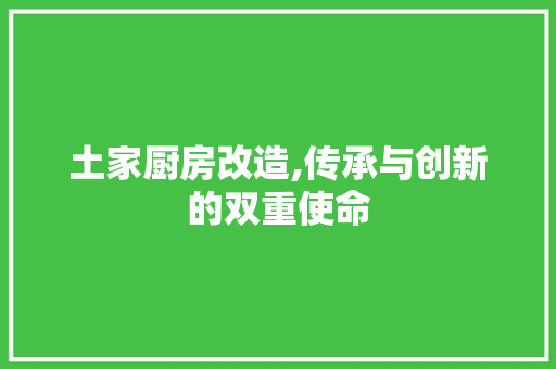 土家厨房改造,传承与创新的双重使命