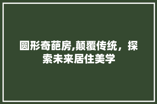 圆形奇葩房,颠覆传统，探索未来居住美学 墙面装饰