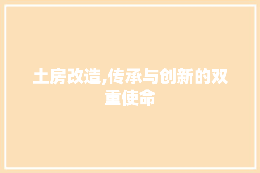 土房改造,传承与创新的双重使命