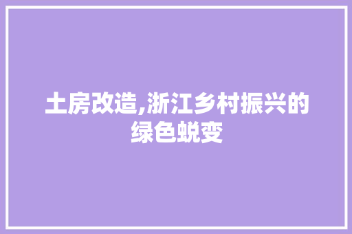 土房改造,浙江乡村振兴的绿色蜕变