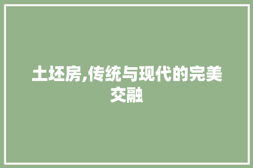 土坯房,传统与现代的完美交融