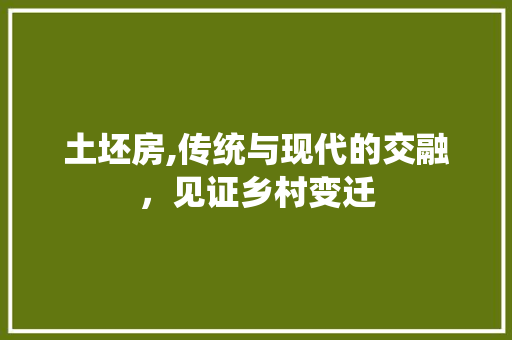 土坯房,传统与现代的交融,见证乡村变迁 建筑设计 土坯房,传统与现代的交融,见证乡村变迁 建筑设计