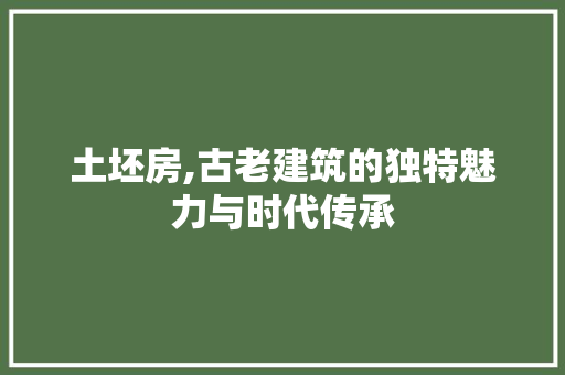 土坯房,古老建筑的独特魅力与时代传承 装修攻略