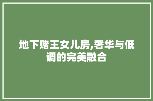 地下赌王女儿房,奢华与低调的完美融合