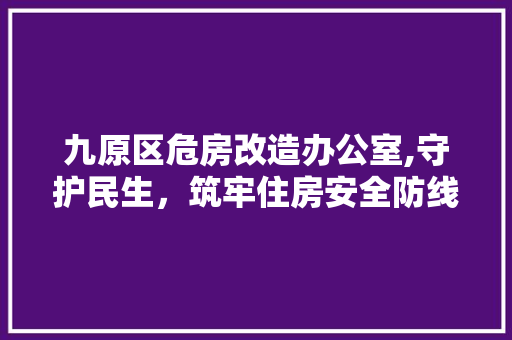 九原区危房改造办公室,守护民生，筑牢住房安全防线