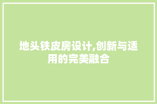 地头铁皮房设计,创新与适用的完美融合 地面装修