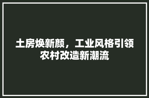 土房焕新颜，工业风格引领农村改造新潮流