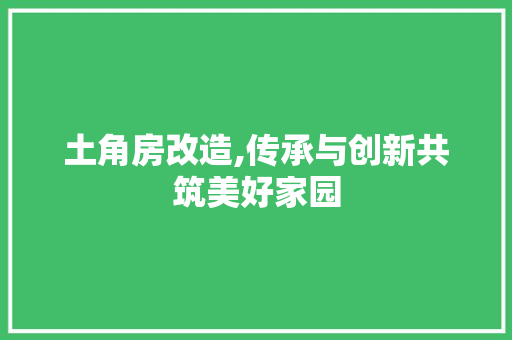 土角房改造,传承与创新共筑美好家园