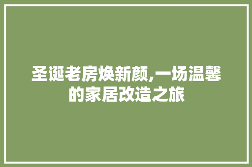 圣诞老房焕新颜,一场温馨的家居改造之旅