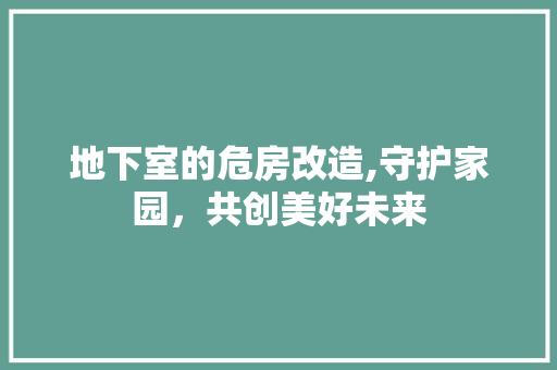 地下室的危房改造,守护家园，共创美好未来