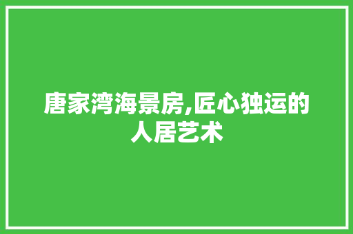 唐家湾海景房,匠心独运的人居艺术 装修材料