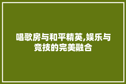 唱歌房与和平精英,娱乐与竞技的完美融合 庭院装修