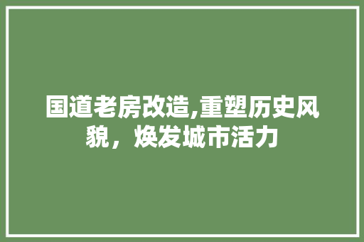 国道老房改造,重塑历史风貌，焕发城市活力