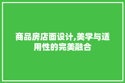 商品房店面设计,美学与适用性的完美融合 地面装修