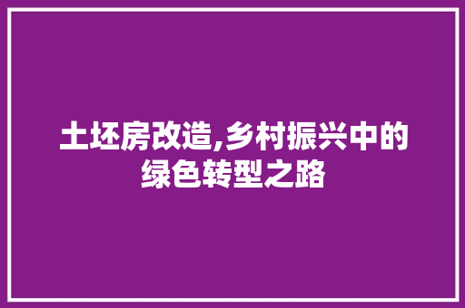 土坯房改造,乡村振兴中的绿色转型之路