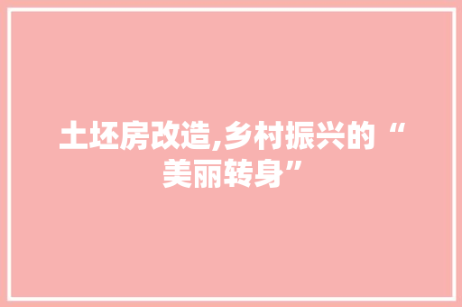 土坯房改造,乡村振兴的“美丽转身”