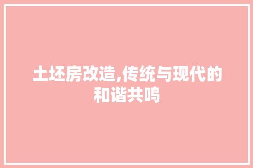 土坯房改造,传统与现代的和谐共鸣