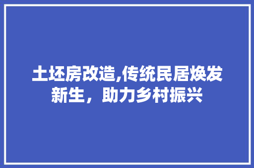 土坯房改造,传统民居焕发新生，助力乡村振兴
