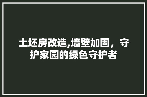 土坯房改造,墙壁加固，守护家园的绿色守护者 隔断设计