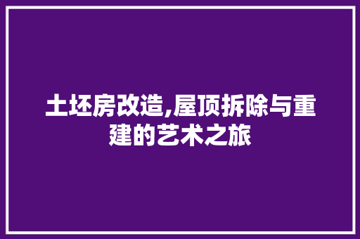土坯房改造,屋顶拆除与重建的艺术之旅