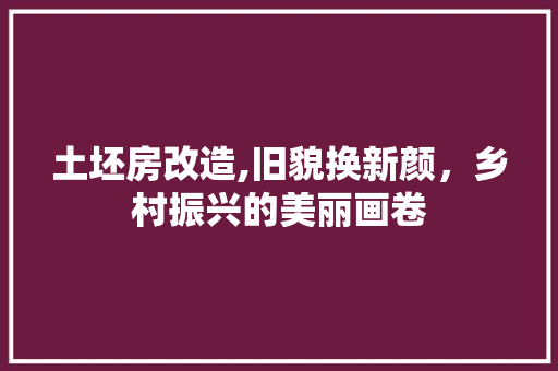 土坯房改造,旧貌换新颜，乡村振兴的美丽画卷 墙面装饰