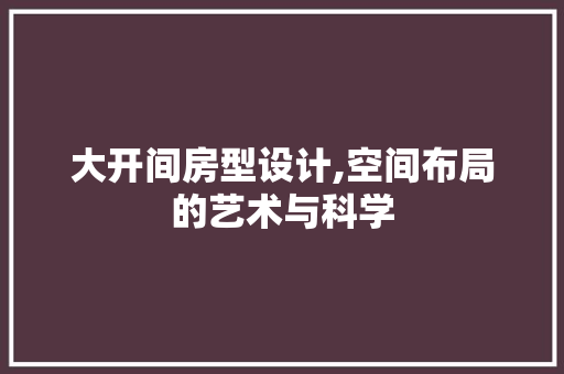 大开间房型设计,空间布局的艺术与科学