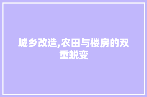 城乡改造,农田与楼房的双重蜕变