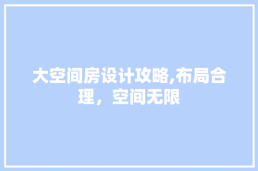 大空间房设计攻略,布局合理，空间无限 装修攻略