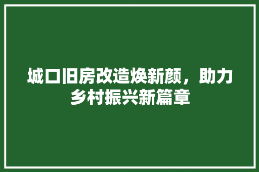 城口旧房改造焕新颜，助力乡村振兴新篇章