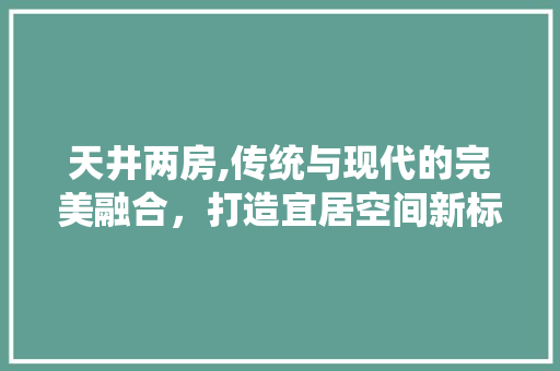 天井两房,传统与现代的完美融合，打造宜居空间新标杆