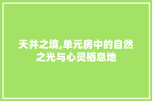 天井之境,单元房中的自然之光与心灵栖息地